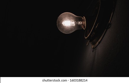 light bulb in the dark