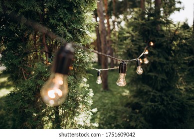 Light Bulb Decor In Outdoor Party. Lamp Garlands Hang In The Garden Between The Trees. Decorative Outdoor String Lights Hanging In The Garden. 