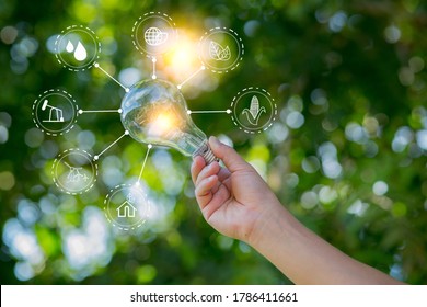 Hand Holding Light Bulb Against Nature Stock Photo 1120037774 ...