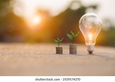 Light Bulb Energy Saving And A Coin Glass On The Floor Nature Background