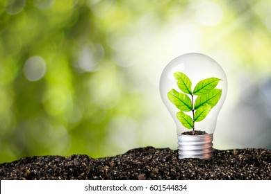 Light bulb glowing in soil / idea or energy and environment concept