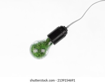 light bulb with grass inside