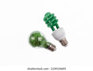 light bulb with grass inside
