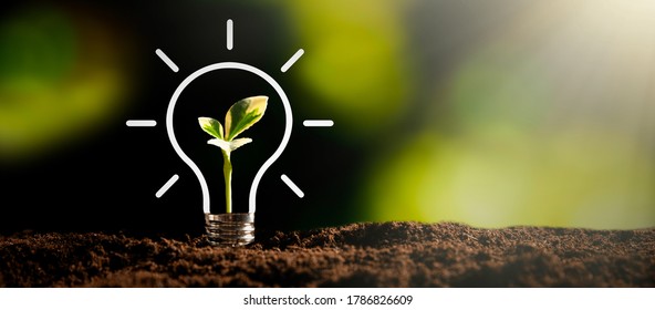 Light bulb with growing plant. Ecological friendly and sustainable environment - Shutterstock ID 1786826609