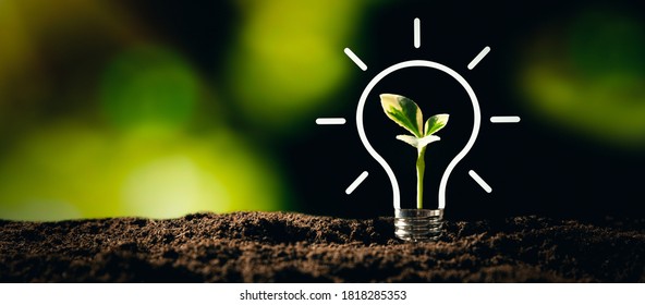 Light bulb with growing plant. Ecological friendly and sustainable environment - Shutterstock ID 1818285353