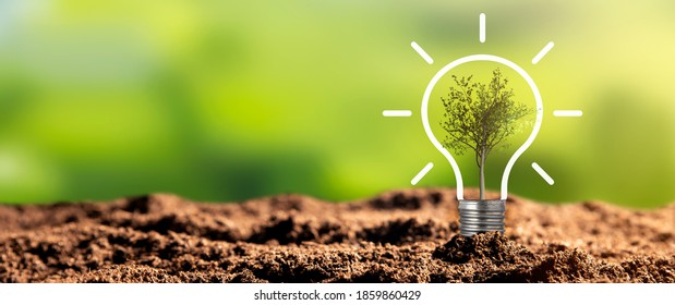 Light bulb with growing tree. Ecological friendly and sustainable environment - Powered by Shutterstock