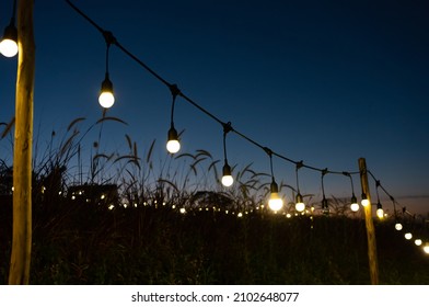 Light Bulb Hanging In Line To Decorate Garden For Party At Twilight