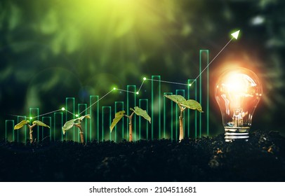 Light bulb is located on the soil, and plant are growing with growth graph.Renewable energy generation is essential in the future. Alternative sources of energy.Green energy development. - Shutterstock ID 2104511681