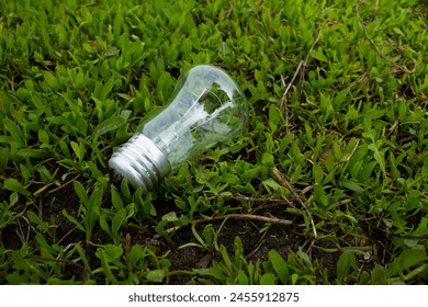 Light bulb lying in the grass