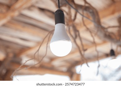 light bulb on ceiling, close up