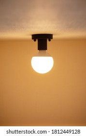 Light Bulb On Ceiling. A Round Type Incandescent Color LED Light Bulb Attached To A Simple Black Light Socket.