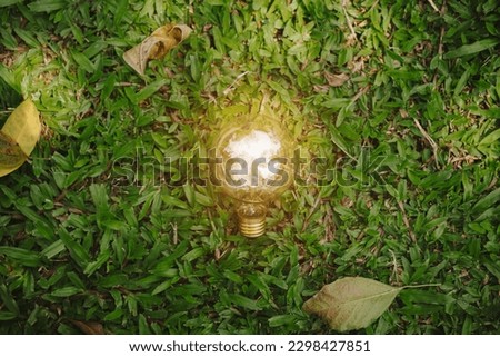 light bulb on green nature background,concept Clean energy transition based on nature.