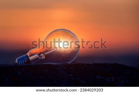 Light bulb on sunset background, light of sun in incandescent lamp, image silhouette background,