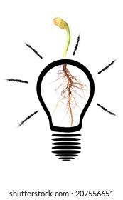 light bulb on the tree and root