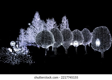 Light Bulb Overlay. Abstract Bokeh Light Background. Abstract Bokeh Background. Light Bulb Decoration. Christmas Or Wedding Lights Isolated On Black Background. String Wired Bulbs On Black Background.