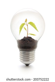 Light Bulb With Plant Inside On White Background