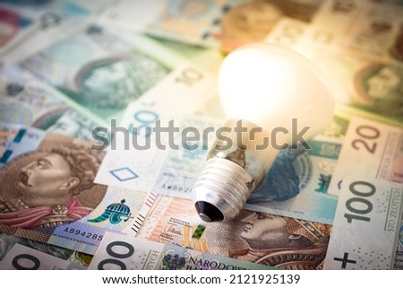 Light bulb with polish money.  Electricity bill
