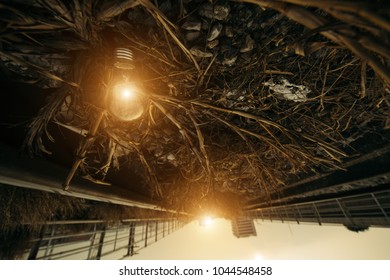 The Light Bulb Represent The  Creativity 