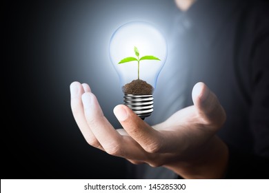 Light Bulb with sprout inside