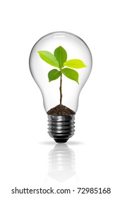 Light Bulb with sprout inside - Shutterstock ID 72985168