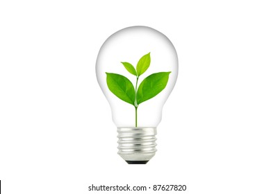 Light Bulb With Sprout Inside Plant