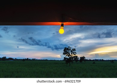 Light bulb with sunset view .