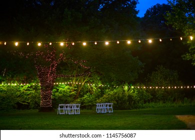 Light Bulbs Hanging Tree Area Wedding Stock Photo 1145756087 | Shutterstock