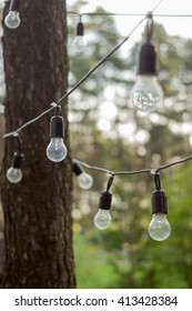 Light bulbs on the tree