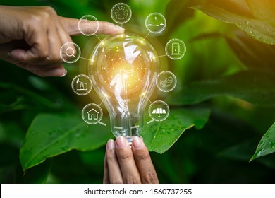 Light bulbs that grow, in the concept of energy in nature. - Shutterstock ID 1560737255