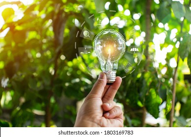 Hand Holding Light Bulb Against Nature Stock Photo 1607801068 ...