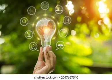 166,349 Energy Saving Bulbs Images, Stock Photos & Vectors | Shutterstock