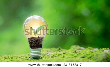 light bulbs and trees Energy saving concepts and investments in eco-business renewable energy production ESG green business and environmental investment, natural green background