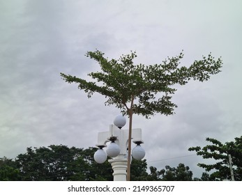 Light Column At Zamboanga City Boulevard