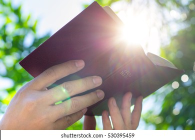 Light Coming From Book In Woman's Hands In Gesture Of Giving, Offering. Concept Of Wisdom, Religion, Reading, Imagination.