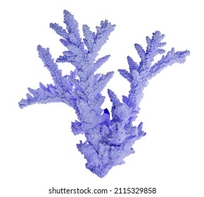 light coral isolated on white background - Shutterstock ID 2115329858
