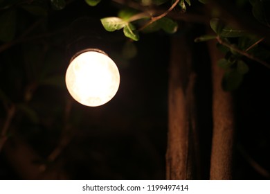 light in the dark