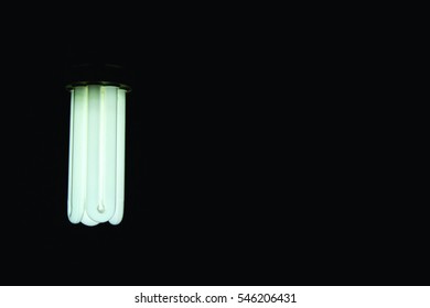 Light in the Dark