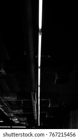 the light in the dark
