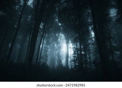 light in dark fantasy forest - Powered by Shutterstock