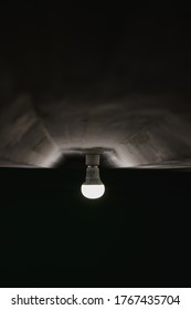 The light in the darkness