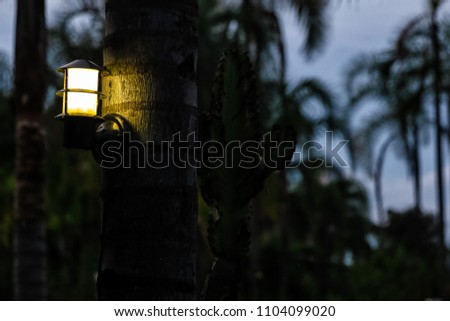 Similar – Image, Stock Photo light appearance