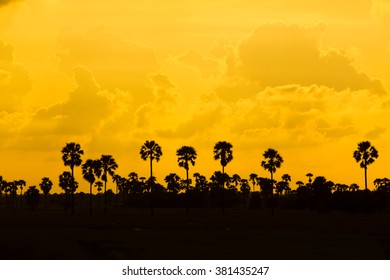 Light of the evening sky.