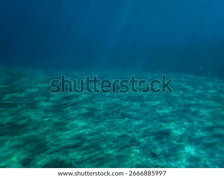 Light filtering down through blue water. Underwater sunlight in deep sea. Light viewed from blue abyss. Underwater sunlight shining deep with ripples on wave surface ocean ray, Under water background.