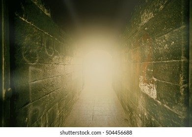 Light flare through the back alleycat - Shutterstock ID 504456688