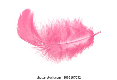 Light Fluffy Pink Feather Isolated On White Background.