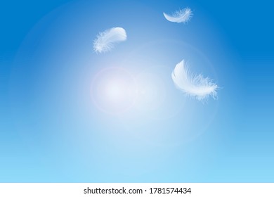 630,105 White Feather Blue Background Images, Stock Photos & Vectors 