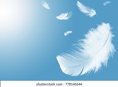 Light fluffy a white feathers floating in the sky with copy space. Feather abstract. Freedom concept background. - Shutterstock ID 778146544