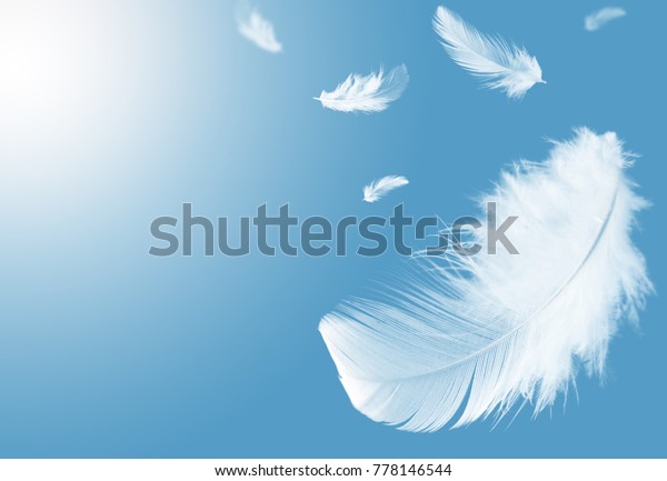 Light\
fluffy a white feathers floating in the sky with copy space.\
Feather abstract. Freedom concept\
background.
