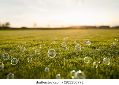 LIGHT FLYING SOAPY BUBBLES OVER THE GREEN GRASS LAWN LANDSCAPE WHILE SUN SETTING IN THE AFTERNOON OUTDSIDE, DREAMY OUTDOOR BACKGROUND, BUBBLES SETTING DOWN AFTER BEING BLOWED IN THE AIR, TRANSLUCENT AIR BUBBLES NATURE BACKDROP, ECO FRESH WASHING AND CLEANSING PRODUCT BACKROP