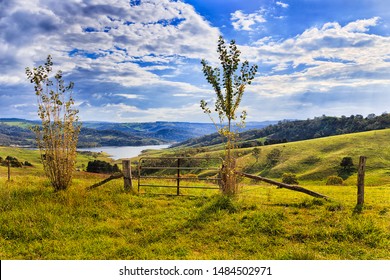 Light Gate And Wire Fence Around Catte Farm On Hill Sides Around Lake Lyell In Australian Blue Mountains - Grass Fed Growth Of Australian Beef On Green Pastures.